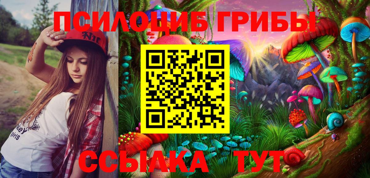 Галлюциногенные грибы прущие грибы  Галлюциногенные грибы прущие грибы  Электросталь  Вход с VPN 